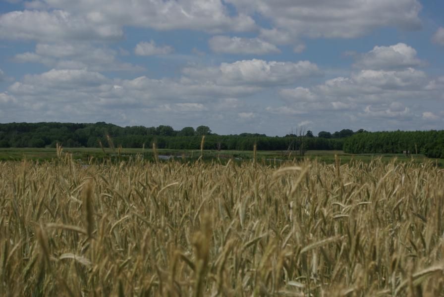 Weitere Fotos aus der Gemeinde
